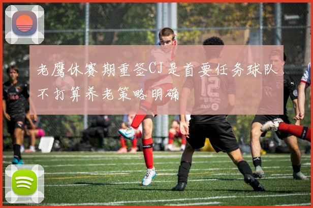 老鹰休赛期重签CJ是首要任务球队不打算养老策略明确